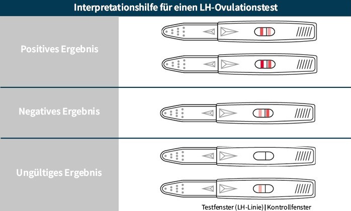 Grafische Darstellung einer Interpretationshilfe bei der Nutzung von Ovulationstests.